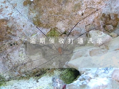 逾期催收打通讯录 逾期催收打通讯录