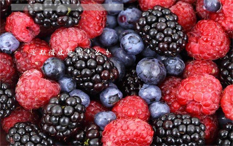 逾期催收批图怎么办