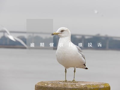 逾期催收找谁投诉 逾期催收找谁投诉