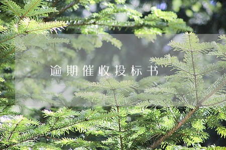 逾期催收投标书 逾期催收投标书