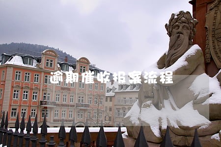 逾期催收报案流程 逾期催收报案流程
