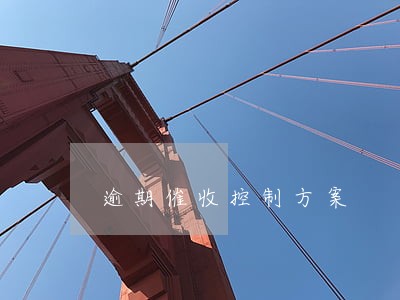 逾期催收控制方案 逾期催收控制方案
