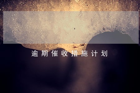 逾期催收措施计划 逾期催收措施计划