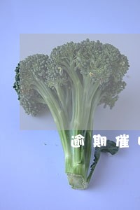 逾期催收方式党日活动 逾期催收方式党日活动