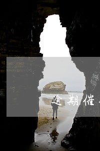 逾期催收方案样本 逾期催收方案样本