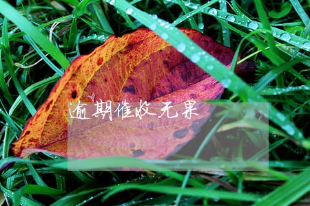 逾期催收无果