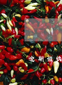 逾期催收是什么 逾期催收是什么
