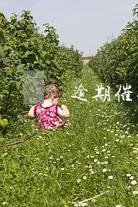 逾期催收是法务的活吗 逾期催收是法务的活吗