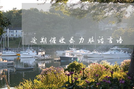 逾期催收暴力脏话言语 逾期催收暴力脏话言语