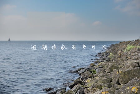 逾期催收有多可怕 逾期催收有多可怕
