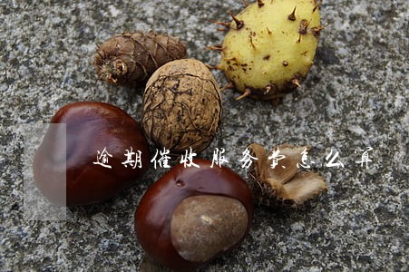 逾期催收服务费怎么算