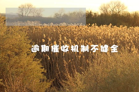 逾期催收机制不健全
