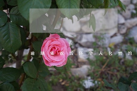 逾期催收毁坏个人名誉的 逾期催收毁坏个人名誉的