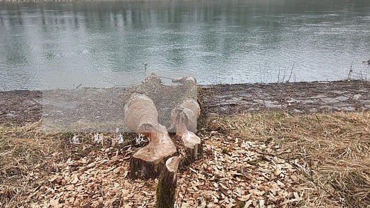 逾期催收法律