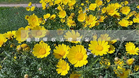 逾期催收法律规定