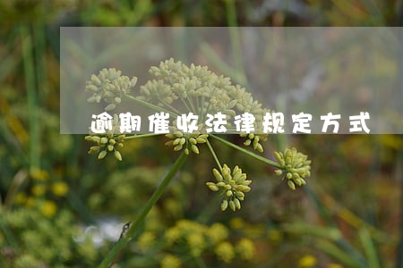 逾期催收法律规定方式