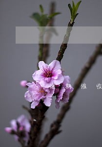 逾期催收法规