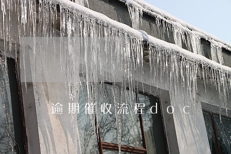 逾期催收流程doc