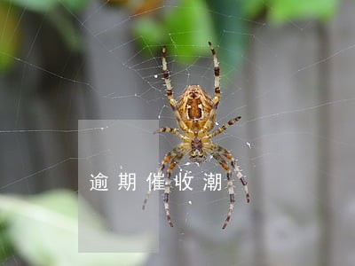 逾期催收潮 逾期催收潮