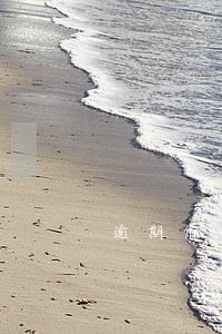 逾期催收王成 逾期催收王成