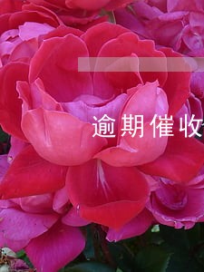 逾期催收电话不停怎么办 逾期催收电话不停怎么办