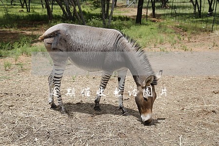 逾期催收电话图片 逾期催收电话图片