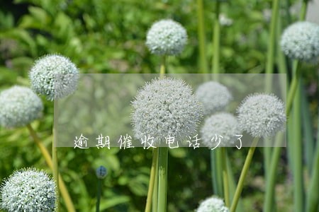 逾期催收电话少了