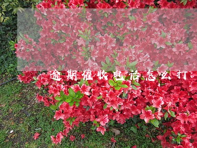 逾期催收电话怎么打 逾期催收电话怎么打