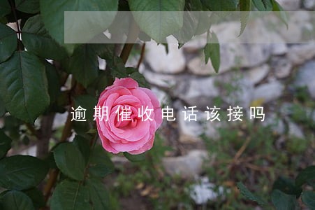 逾期催收电话该接吗