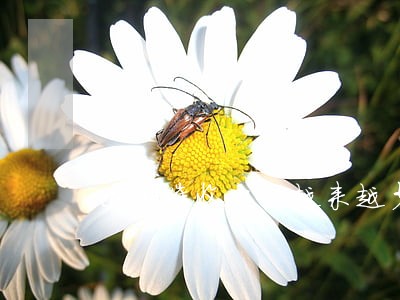 逾期催收电话越来越少 逾期催收电话越来越少