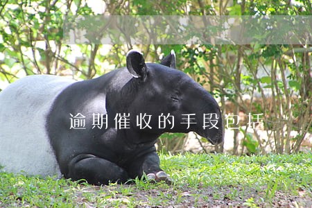 逾期催收的手段包括 逾期催收的手段包括