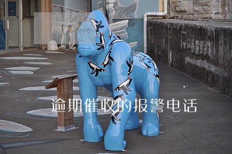 逾期催收的报警电话 逾期催收的报警电话