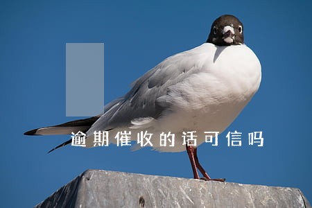逾期催收的话可信吗 逾期催收的话可信吗