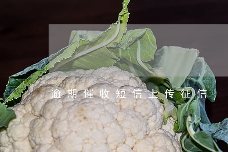 逾期催收短信上传征信 逾期催收短信上传征信
