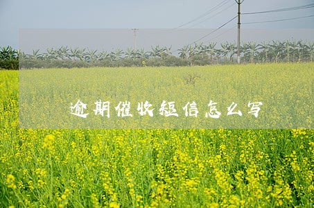 逾期催收短信怎么写 逾期催收短信怎么写