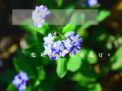 逾期催收短信退订t 逾期催收短信退订t