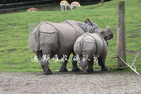 逾期催收确认书