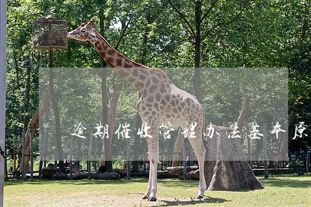 逾期催收管理办法基本原则 逾期催收管理办法基本原则