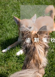 逾期催收绩效考核 逾期催收绩效考核