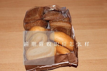 逾期催收职位怎么样 逾期催收职位怎么样