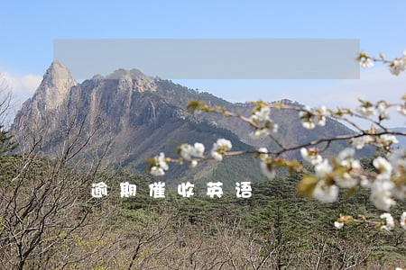 逾期催收英语 逾期催收英语