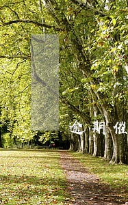 逾期催收被报家人通讯录怎么办 逾期催收被报家人通讯录怎么办