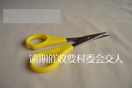 逾期催收要村委会交人 逾期催收要村委会交人