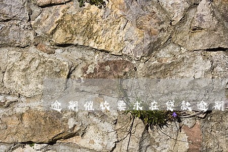 逾期催收要求在贷款逾期超过 逾期催收要求在贷款逾期超过