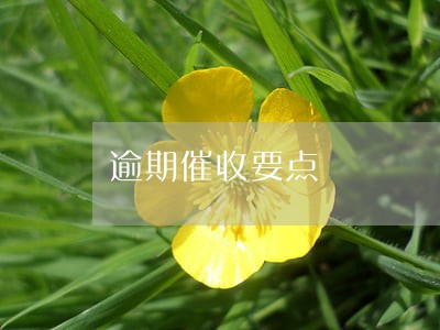 逾期催收要点 逾期催收要点
