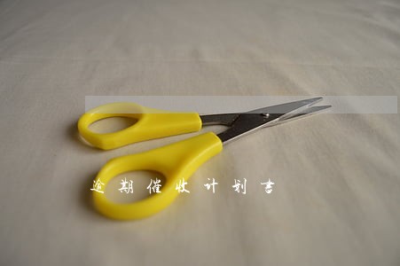 逾期催收计划书 逾期催收计划书