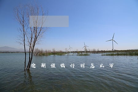 逾期催收计划怎么写 逾期催收计划怎么写