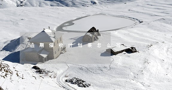 逾期催收计划表怎么写 逾期催收计划表怎么写