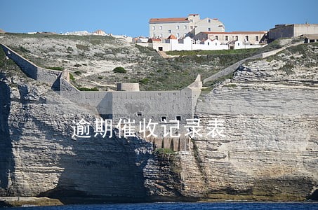 逾期催收记录表 逾期催收记录表