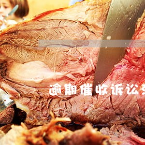 逾期催收诉讼流程 逾期催收诉讼流程
